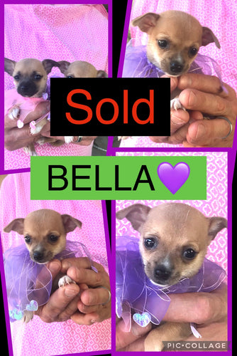 SOLD- Click On Picture For More Info- Deposit for Bella