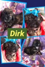 SOLD- Click On Picture For More Info- Deposit for Dirk