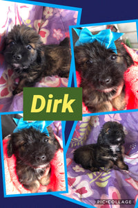 SOLD- Click On Picture For More Info- Deposit for Dirk