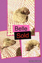 SOLD- Click On Picture For More Info- Deposit for Belle