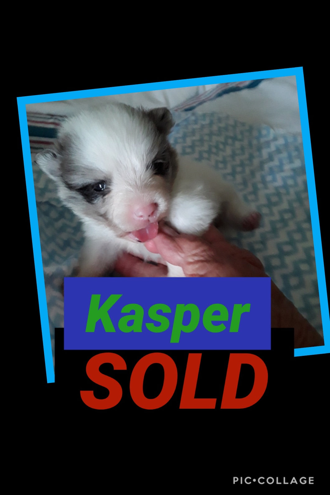 SOLD- Click On Picture For More Info- Deposit for Kasper