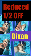 SOLD- Click On Picture For More Info- Deposit for Dixon