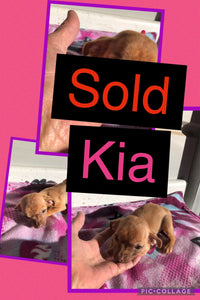 SOLD- Click On Picture For More Info- Deposit for Kia