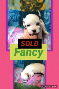 SOLD- Click On Picture For More Info- Deposit for Fancy