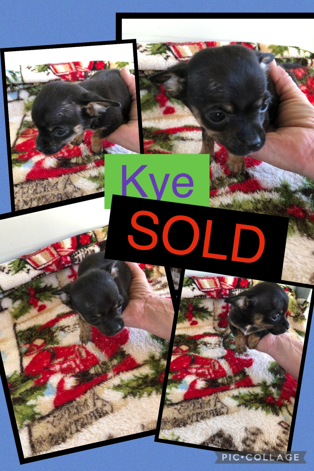 SOLD- Click On Picture For More Info- Deposit for Kye