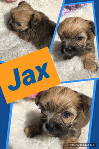 SOLD- Click On Picture For More Info- Deposit for Jax