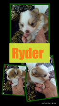 SOLD- Click On Picture For More Info- Deposit for Ryder