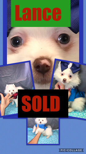 SOLD- Click On Picture For More Info- Deposit for Lance