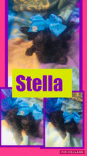 SOLD- Click On Picture For More Info- Deposit for Stella