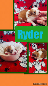 SOLD- Click On Picture For More Info- Deposit for Ryder