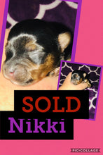 SOLD- Click On Picture For More Info- Deposit for Nikki