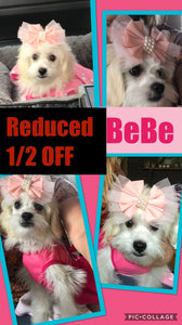 SOLD- Click On Picture For More Info- Deposit for BeBe