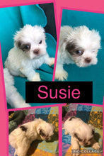 SOLD- Click On Picture For More Info- Deposit for Susie