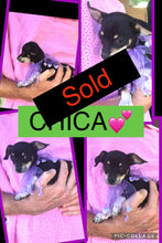 SOLD- Click On Picture For More Info- Deposit for Chica