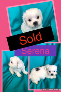 SOLD- Click On Picture For More Info- Deposit for Serena