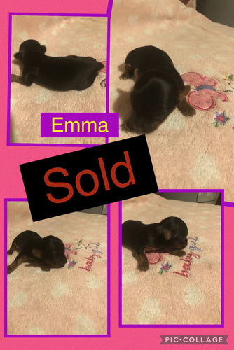 SOLD- Click On Picture For More Info- Deposit for Emma