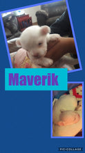 SOLD- Click On Picture For More Info- Deposit for Maverik