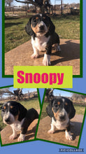 SOLD- Click On Picture For More Info- Deposit for Snoopy