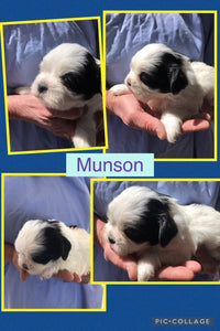 SOLD- Click On Picture For More Info- Deposit for Munson