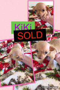 SOLD- Click On Picture For More Info- Deposit for KiKi