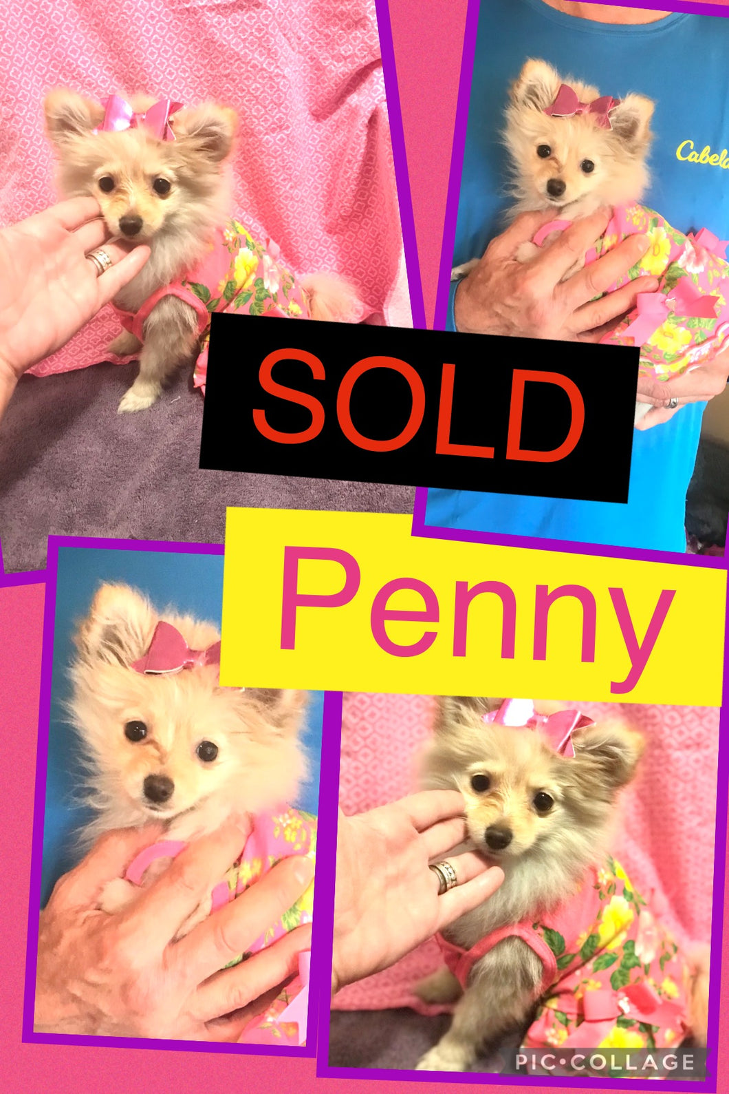SOLD- Click On Picture For More Info- Deposit for Penny