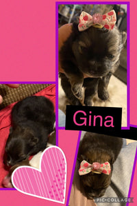 SOLD- Click On Picture For More Info- Deposit for Gina