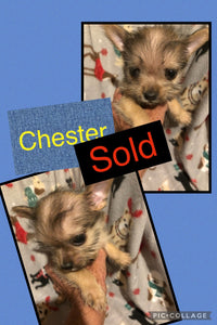 SOLD-Click On Picture For More Info- Deposit for Chester