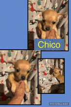 SOLD- Click On Picture For More Info- Deposit for Chico