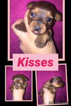 SOLD-Click On Picture For More Info- Deposit for Kisses