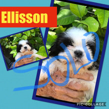 SOLD- Click On Picture For More Info- Deposit for Ellisson