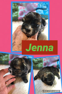SOLD- Click On Picture For More Info- Deposit for Jenna