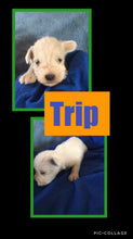 SOLD- Click On Picture For More Info- Deposit for Trip