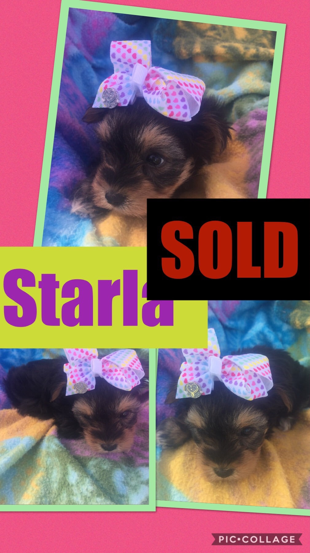 SOLD- Click On Picture For More Info- Deposit for Starla