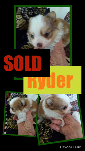 SOLD- Click On Picture For More Info- Deposit for Ryder