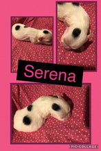 SOLD- Click On Picture For More Info- Deposit for Serena