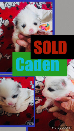 SOLD- Click On Picture For More Info- Deposit for Caden