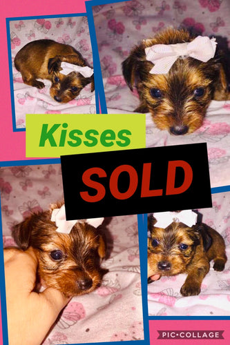 SOLD-Click On Picture For More Info- Deposit for Kisses