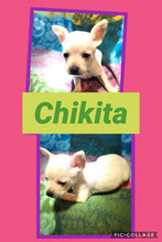 SOLD- Click On Picture For More Info- Deposit for Chikita