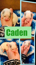 SOLD- Click On Picture For More Info- Deposit for Caden