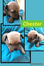 SOLD- Click On Picture For More Info- Deposit for Chester