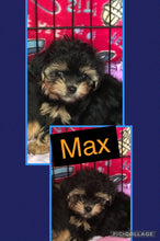 SOLD- Click On Picture For More Info- Deposit for Max