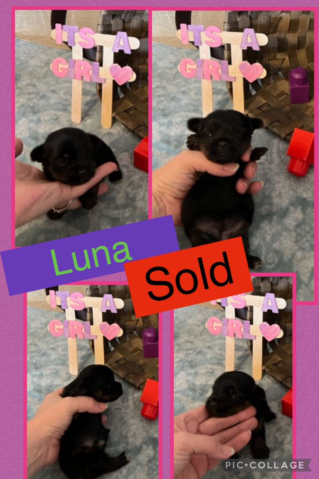 SOLD- Click On Picture For More Info- Deposit for Luna