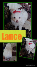 SOLD- Click On Picture For More Info- Deposit for Lance