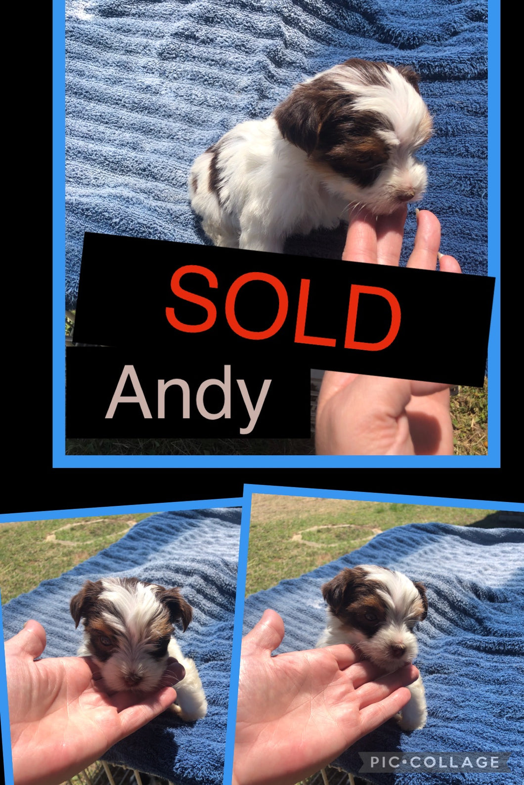 SOLD- Click On Picture For More Info- Deposit for Andy