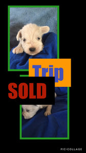 SOLD- Click On Picture For More Info- Deposit for Trip