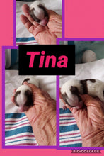 SOLD- Click On Picture For More Info- Deposit for Tina