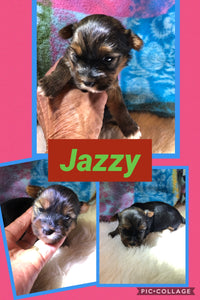 SOLD- Click On Picture For More Info- Deposit for Jazzy