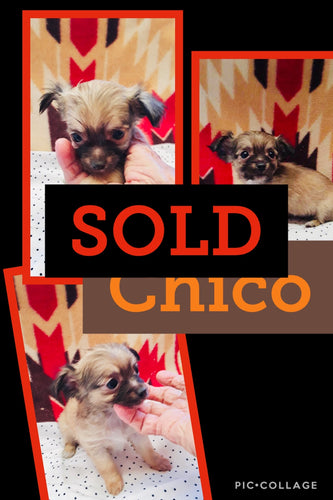 SOLD- Click On Picture For More Info- Deposit for Chico