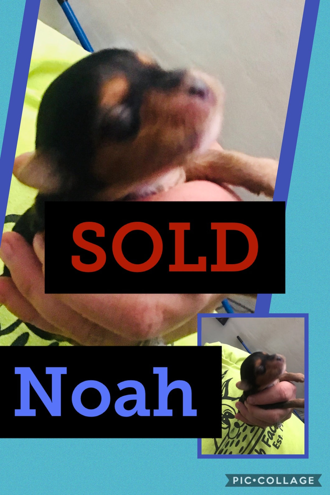 SOLD- Click On Picture For More Info- Deposit for Noah