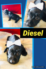 Click On Picture For More Info- Deposit for Diesel